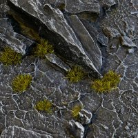 Tiny Dark Moss Tuft (2mm)