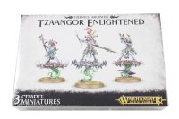 Tzaangor Enlightened/Tzaangor Skyfires